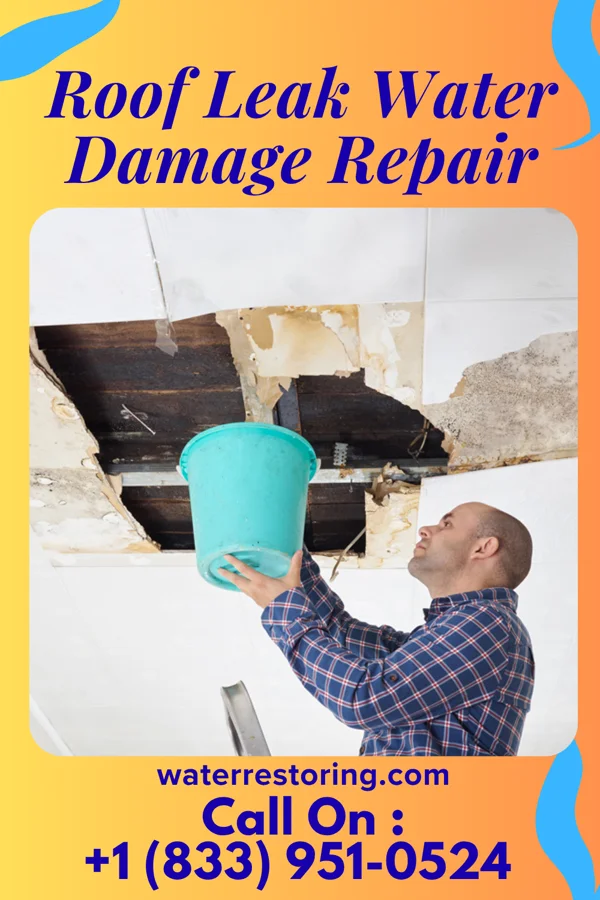 Roof Leak Water Damage Repair in Wildwood, TX